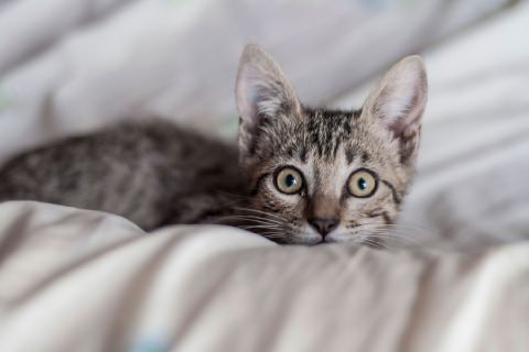 AnnaH9201 is Single in Jersey City, New Jersey, 4