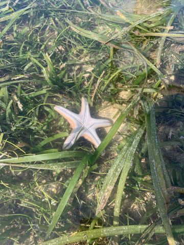 Berbyel is Single in Manado, Sulawesi Utara, 2