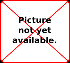 joyful747 is Single in MACHESNEY PK, Illinois, 4