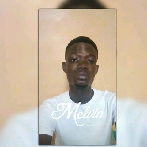 Melvin29