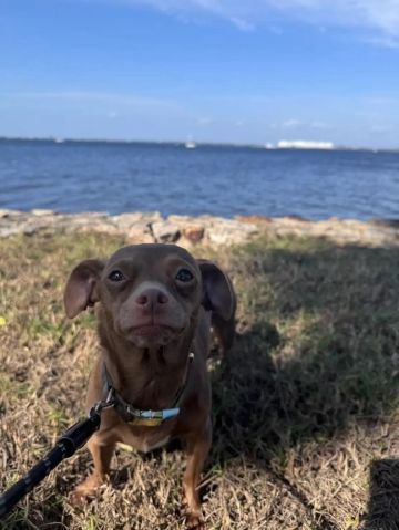 Joshcza is Single in Wilmington, Delaware, 2