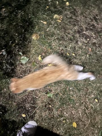 Joshcza is Single in Wilmington, Delaware, 4