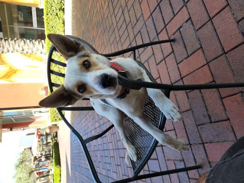 Godwillawaysbefirst is Single in COVINA, California, 2