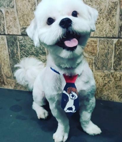 santoscintia is Single in Sayreville, New Jersey, 3