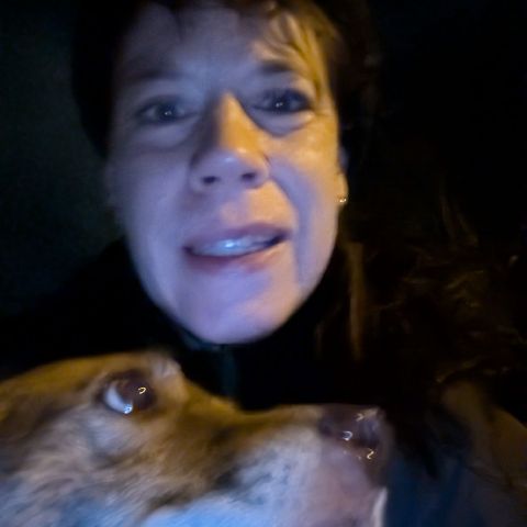 Nicol94 is Single in Fayetteville, Arkansas, 2