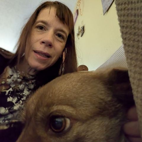 Nicol94 is Single in Fayetteville, Arkansas, 5