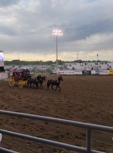 Molly205 is Single in Casper, Wyoming, 3