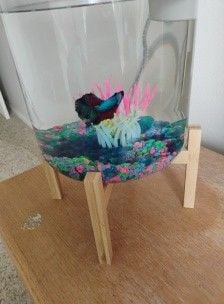 Molly205 is Single in Casper, Wyoming, 4