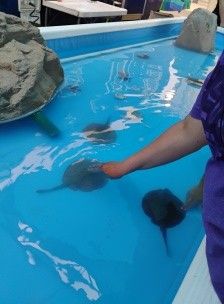 Molly205 is Single in Casper, Wyoming, 5