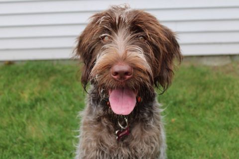 Elliotpethan is Single in Sheboygan, Wisconsin, 4