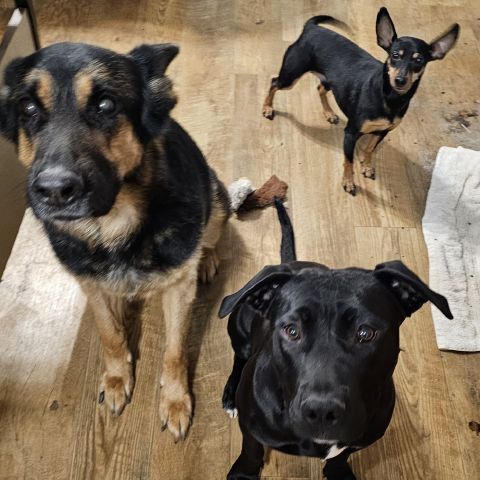 JohnS79 is Single in Douglas, Wyoming, 3