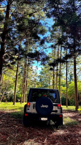 Mark1969GC is Single in Benowa, Queensland, 2