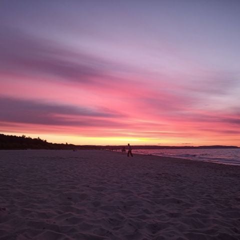 Jakub1990 is Single in Brechin, Scotland, 2