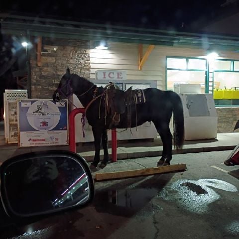 Bighhh is Single in Belgrade, Montana, 3