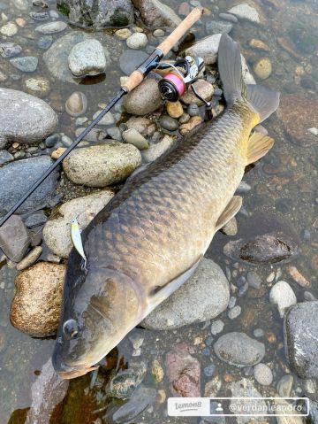 Leandro90 is Single in Bakersfield, California, 4