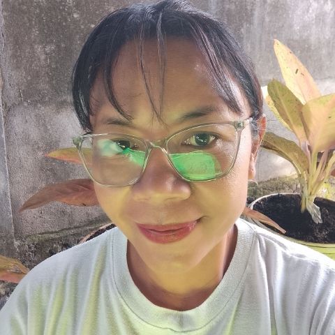 Balgis
