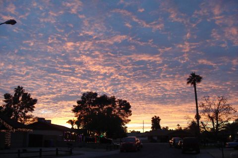 oliver468 is Single in PHOENIX, Arizona, 5