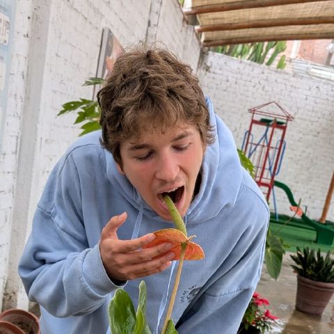 RossUSA is Single in Meridian, Idaho, 2