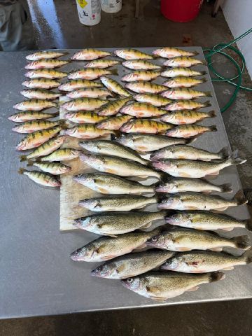 blueskyguy is Single in JACKSONVILLE, Florida, 3