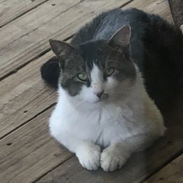 drew727j is Single in Calgary, Alberta, 3