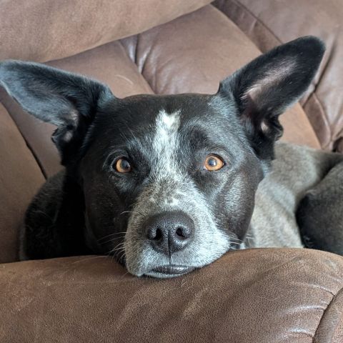 Drew00000 is Single in Gillette, Wyoming, 2