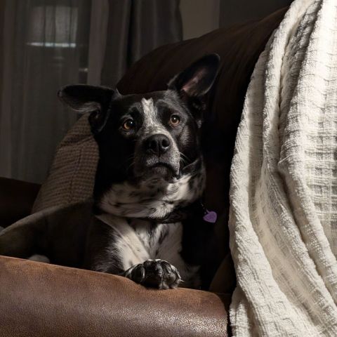 Drew00000 is Single in Gillette, Wyoming, 4