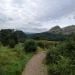 Jonny946 is Single in glasgow, Scotland, 8