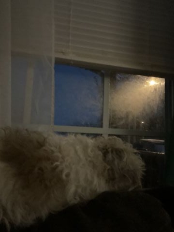 Kentuckywidower is Single in STANFORD, Kentucky, 2