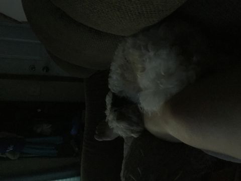 Kentuckywidower is Single in STANFORD, Kentucky, 3