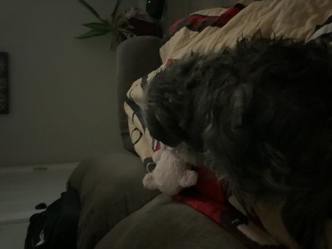 Kentuckywidower is Single in STANFORD, Kentucky, 4