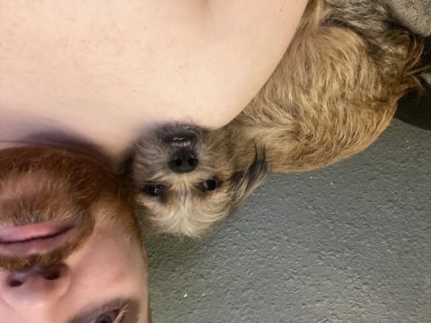 Jerryorton is Single in Florence, Colorado, 4