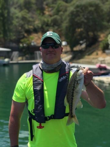 Mark733 is Single in Saint Louis, Missouri, 2