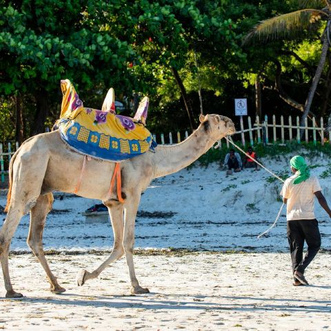 Lila983 is Single in Newry, Northern Ireland, 3