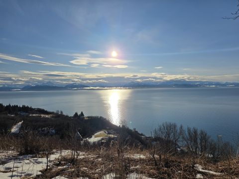 Bweet is Single in SOLDOTNA, Alaska