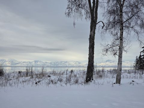 Bweet is Single in SOLDOTNA, Alaska, 2