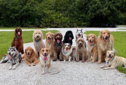 Matilda34 is Single in Hobart, Tasmania, 4