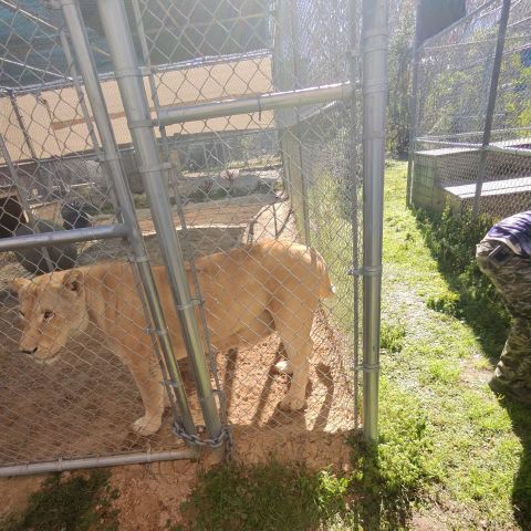 Fav0rAintFair is Single in Jacksonville, Florida, 4