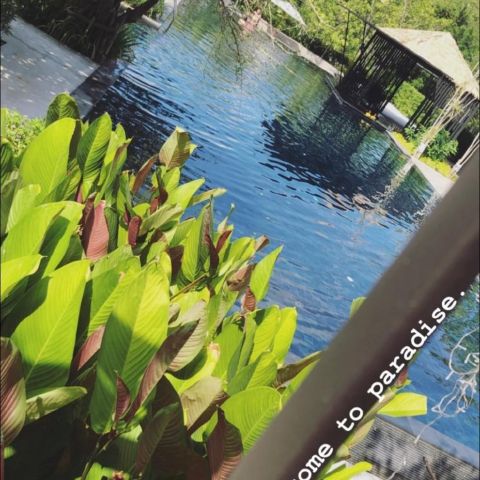 rendon is Single in Koondrook, Victoria, 3