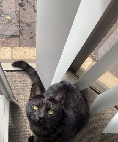 Raymonds787 is Single in Houston, Texas, 4