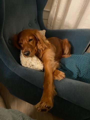 Jan291 is Single in Edinburgh, Scotland, 4