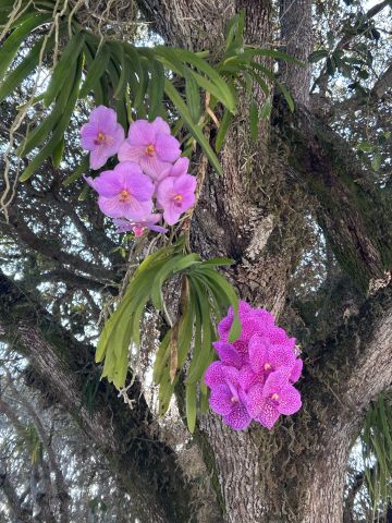 damamontero28 is Single in Harrisburg, South Dakota, 2