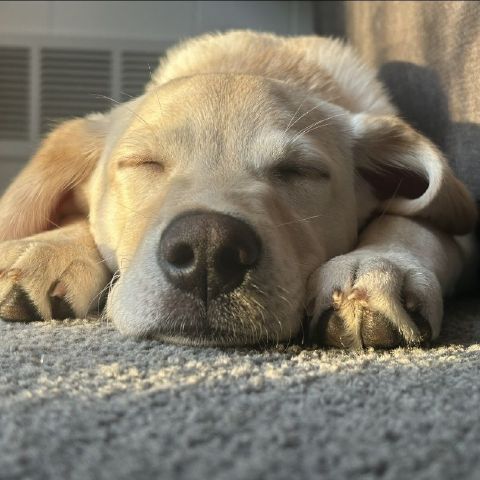 BradenHudson is Single in Elizabeth, Pennsylvania, 4