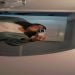 gricely_perez is Single in Salisbury, North Carolina