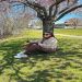 cyathia is Single in trenton, Michigan