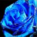 Lovely1491 is Single in Pennsauken, New Jersey