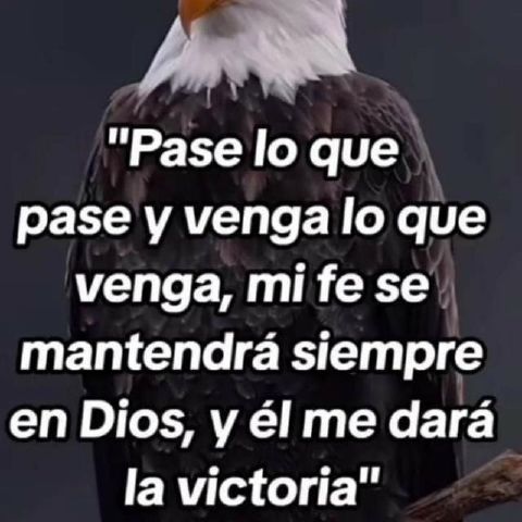 Jass25