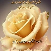 Kashif291