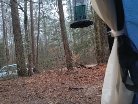 TomWilson36 is Single in Chester, SC 29706, USA, South Carolina, 4