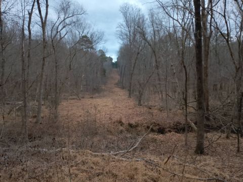 TomWilson36 is Single in Chester, SC 29706, USA, South Carolina, 8