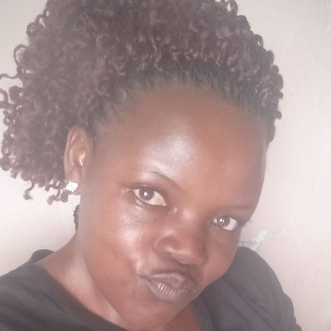 Jollyn